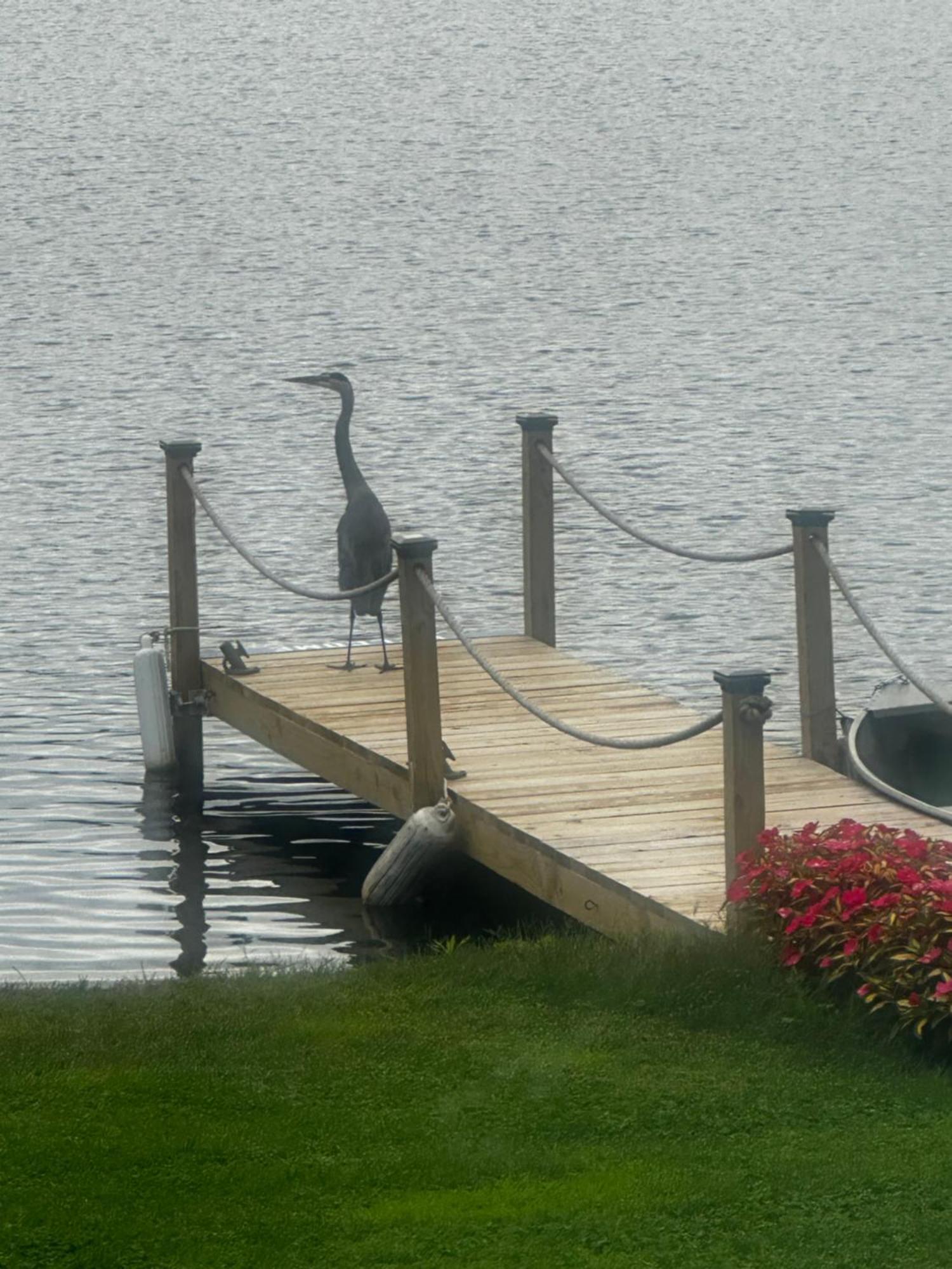 Welcome To The Lake Northwood Buitenkant foto